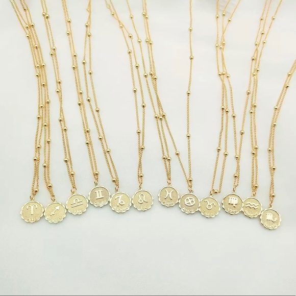 Pisces Zodiac Coin Necklace - Picture 4 of 8